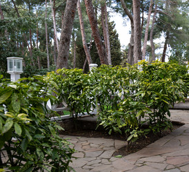 Similar image 21779393