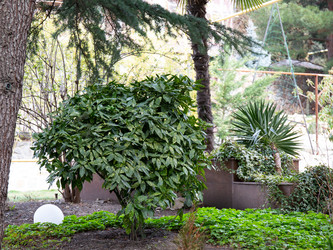 Similar image 21779394