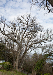 Similar image 21779395