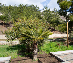 Similar image 21779396