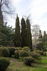 Similar image 21779398