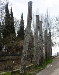 Similar image 21779399