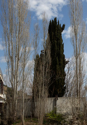 Similar image 21779402