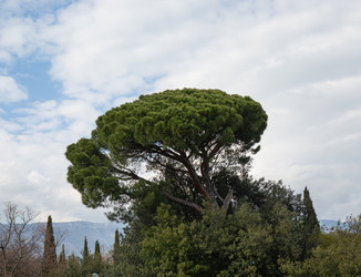 Similar image 21779403