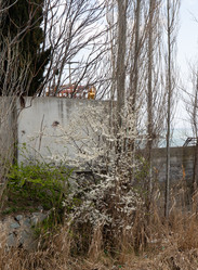 Similar image 21779404