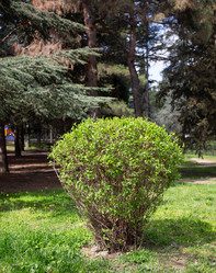 Similar image 21779405