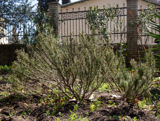 Similar image 21779407