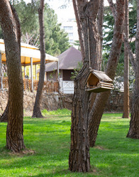 Similar image 21779408