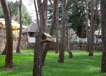 Similar image 21779409