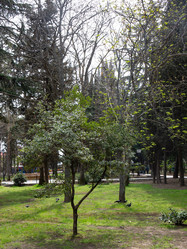 Similar image 21779411