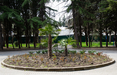 Similar image 21779412