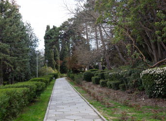 Similar image 21779413