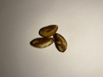 Similar image 21778999