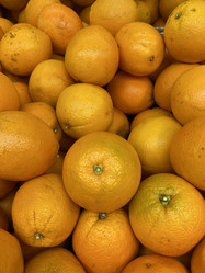 Similar image 21779154