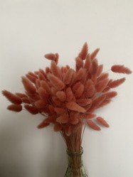 Similar image 21779167