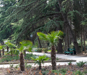 Similar image 21779414