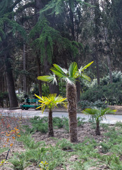 Similar image 21779415