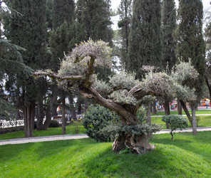 Similar image 21779416