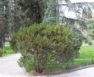 Similar image 21779417