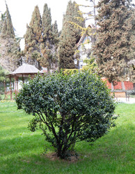 Similar image 21779419