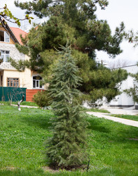 Similar image 21779421