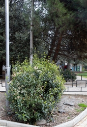 Similar image 21779424