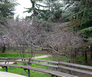 Similar image 21779426