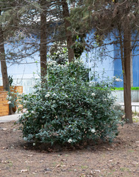 Similar image 21779427