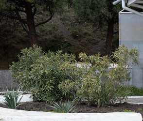 Similar image 21779428