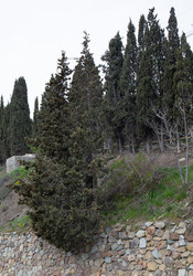 Similar image 21779429