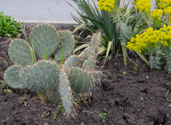 Similar image 21779430