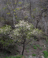 Similar image 21779431