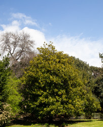 Similar image 21779432