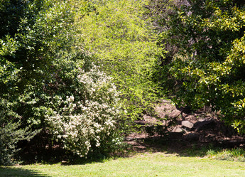 Similar image 21779433