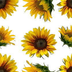 Similar image 21780425