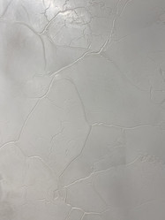 Similar image 21779007