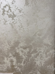 Similar image 21779009