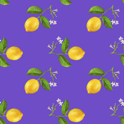 Similar image 21779943