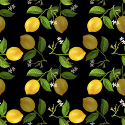 Similar image 21779945