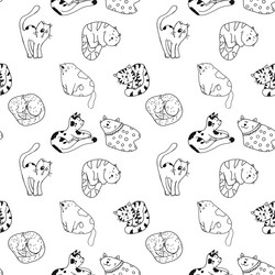 Similar image 21779969