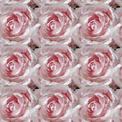 Similar image 21779976