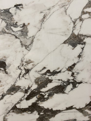 Similar image 21779234