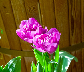 Similar image 21779994