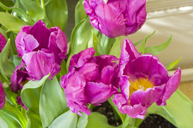 Similar image 21779996