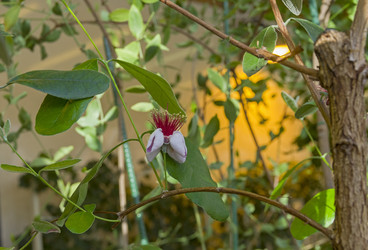 Similar image 21779997