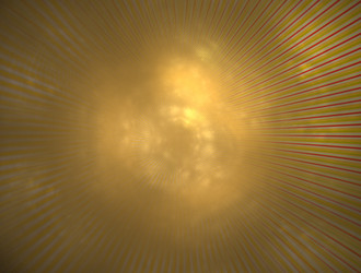 Similar image 21784477