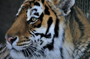 Similar image 21780989