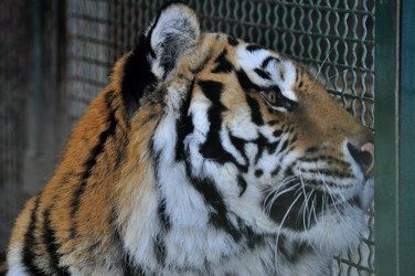 Similar image 21780990