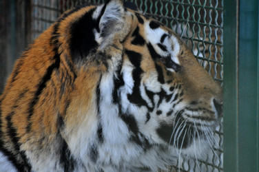 Similar image 21780991