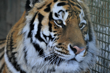 Similar image 21780992